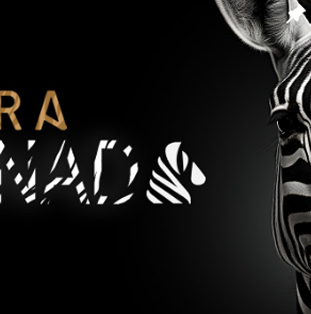 Perfil de proyecto de Zebra Producciones